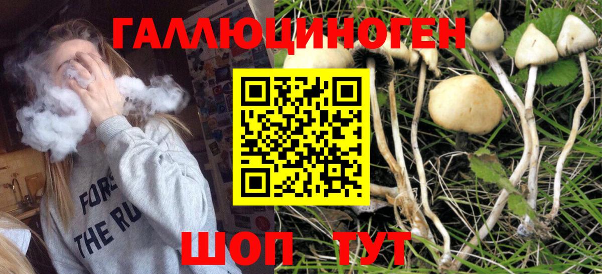 Галлюциногенные грибы мухоморы  Псилоцибиновые грибы прущие грибы  купить   Тихвин  Вход с VPN 